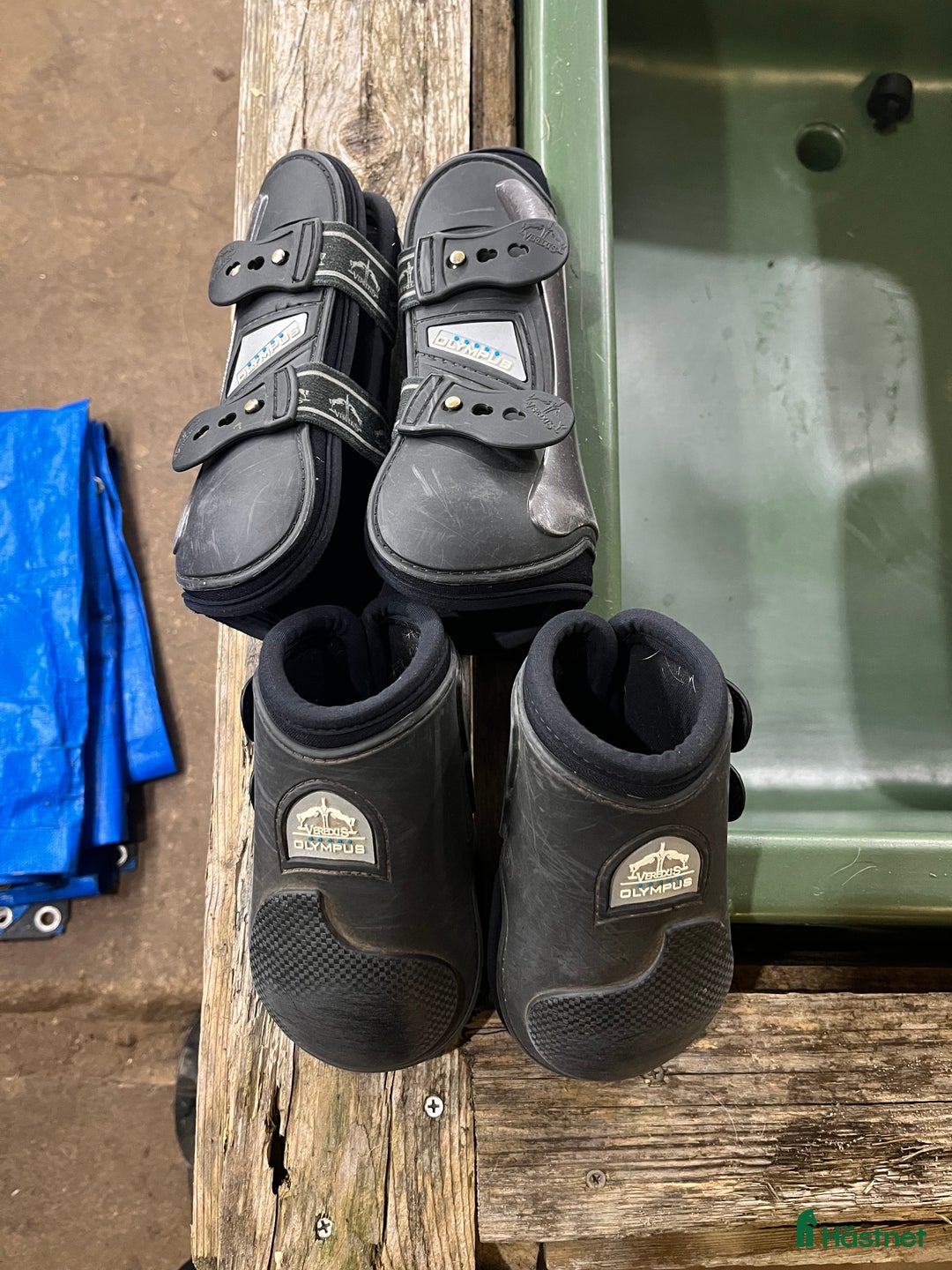 Benskydd hästutrustning till salu: Veredus set i Håcksvik - Annons 1