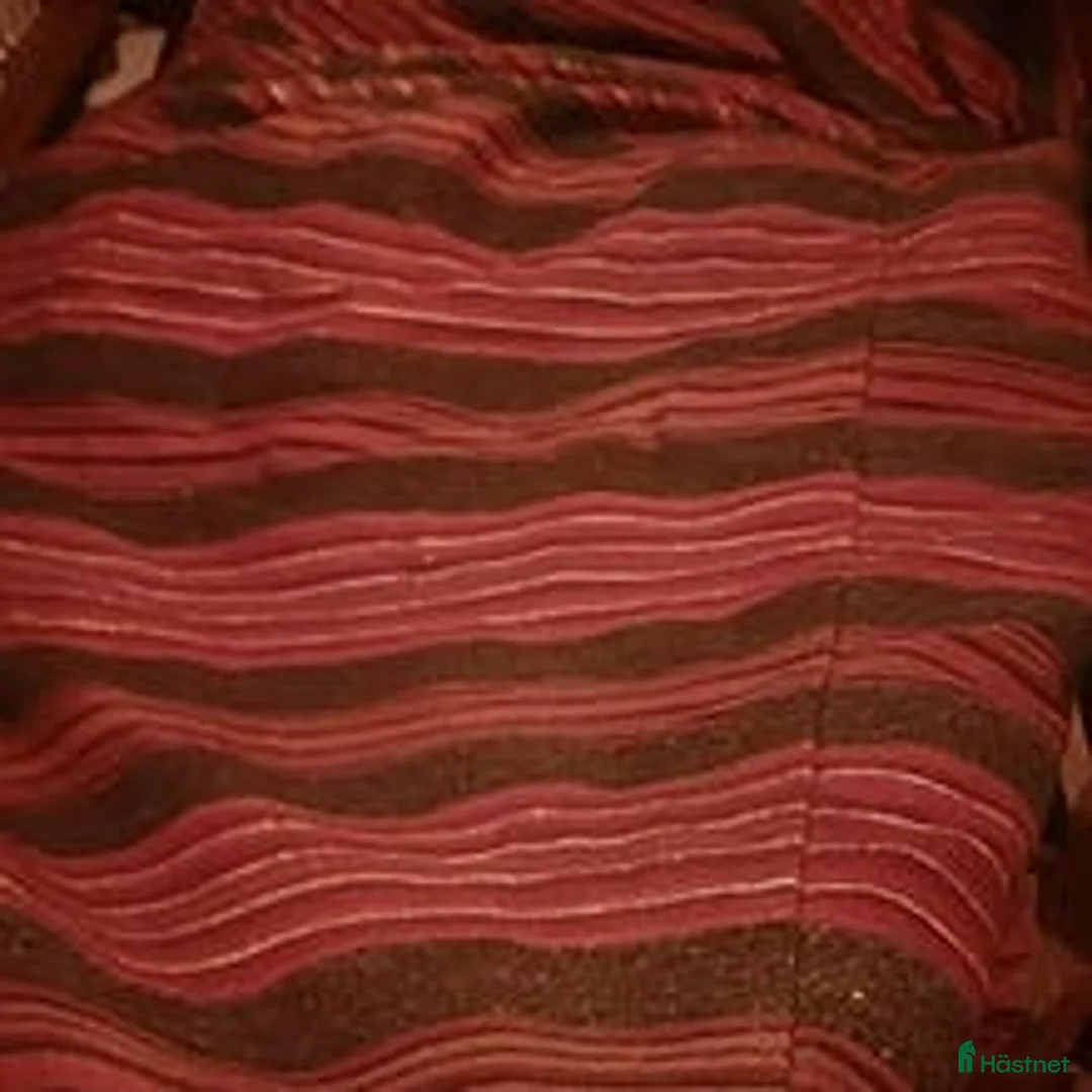 Övrig utrustning övrig utrustning till salu: Vävt fälltäcke i Trollhättan - Annons 2