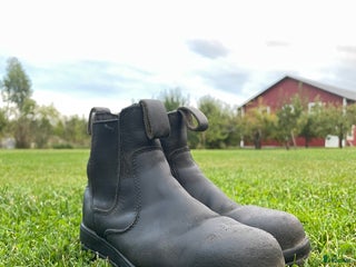 Ridstövlar ryttarutrustning till salu: Ridskor med stålhätta i Björköby - Annons 12