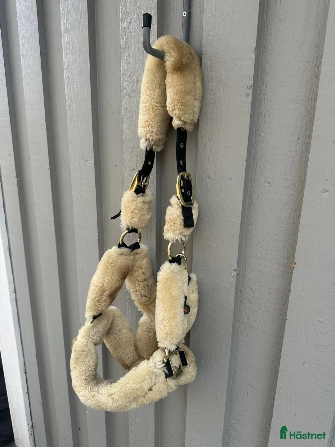 Övrig Hästutrustning hästutrustning till salu: Kentucky luddgrimma  - Annons 1