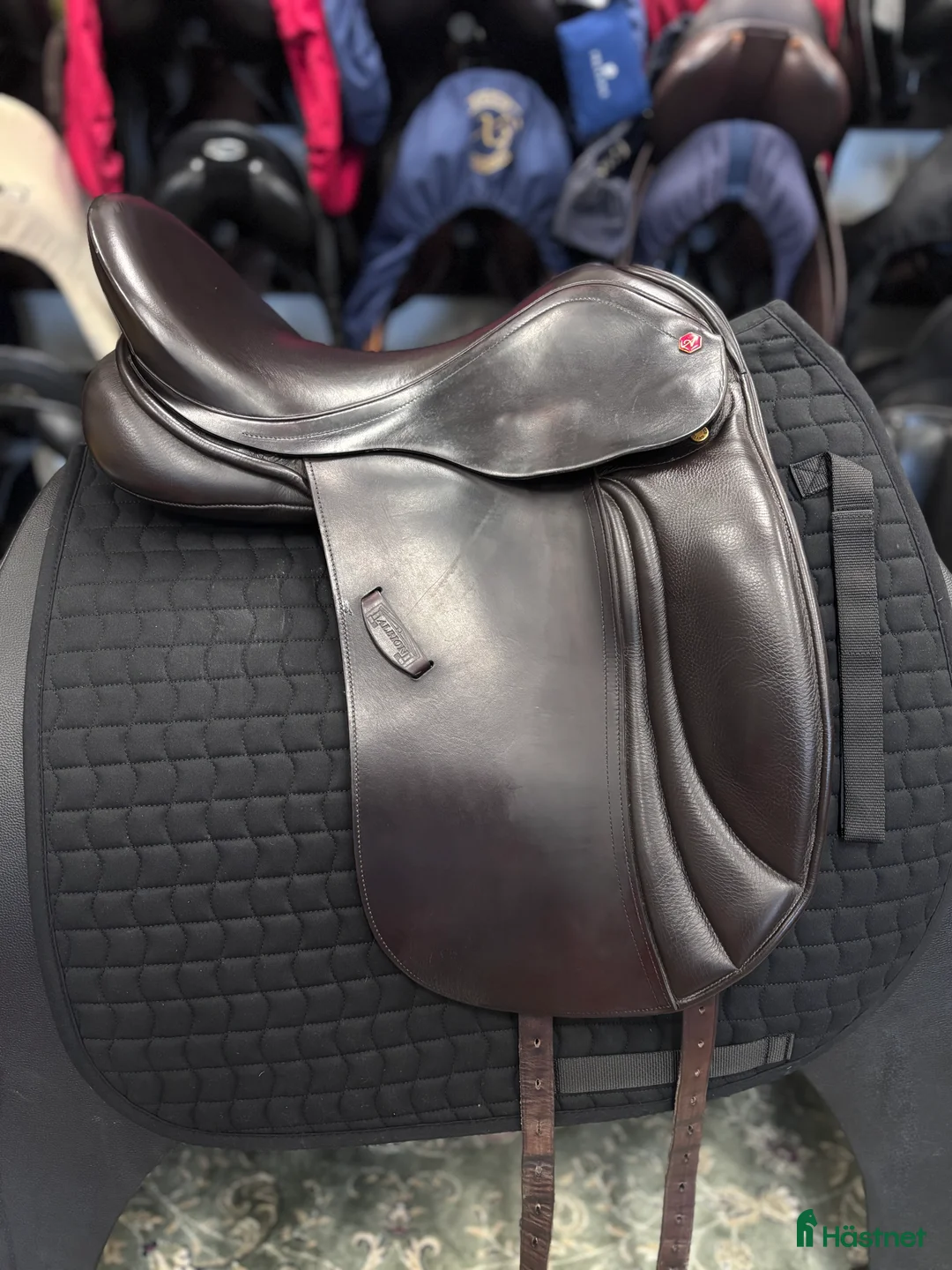 Sadlar hästutrustning till salu: Albion Legend 🌸 - Annons 2