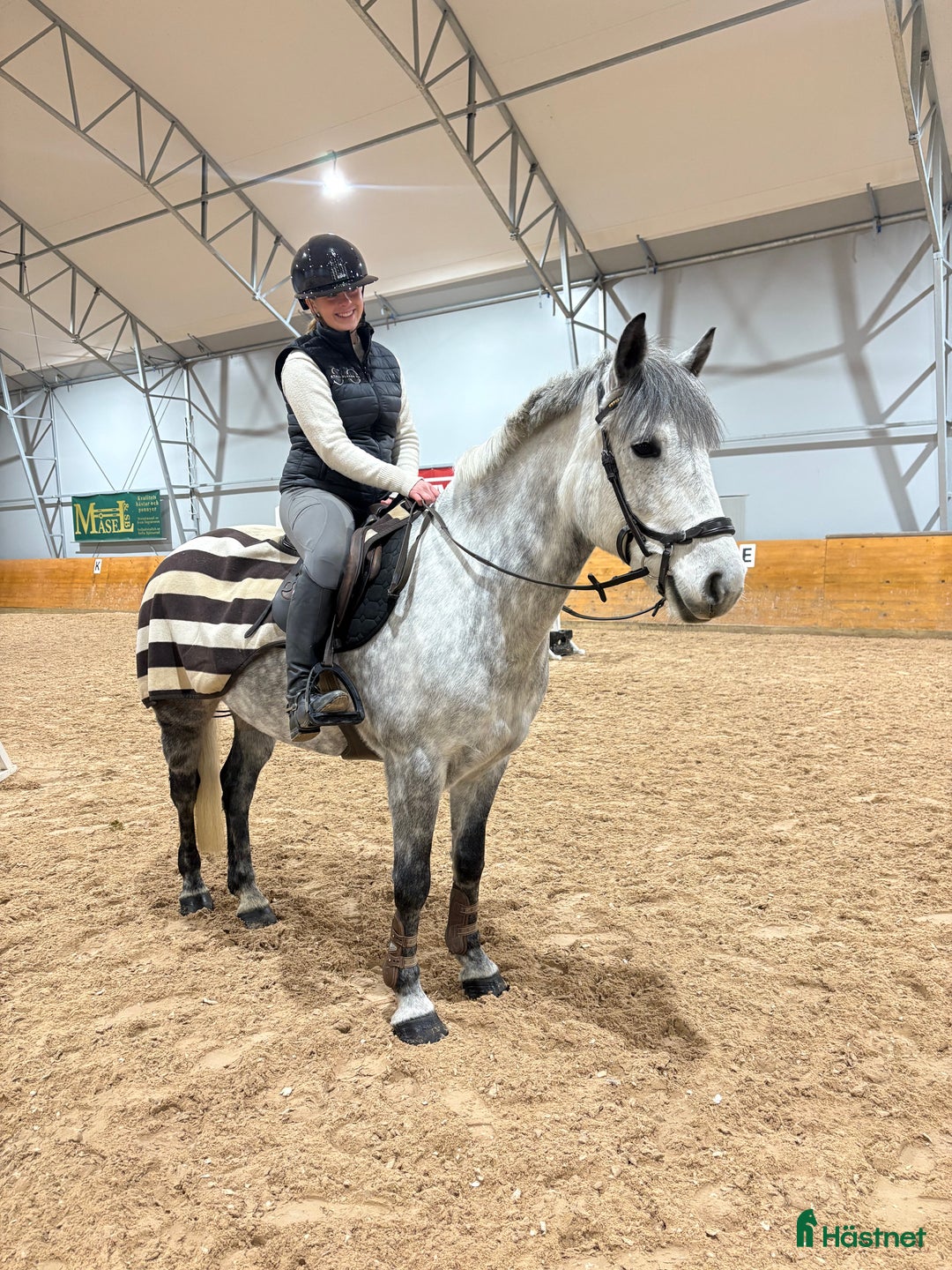 Hoppning hästar till salu: Supersnäll drömponny! i Västra Tunhem - Annons 1
