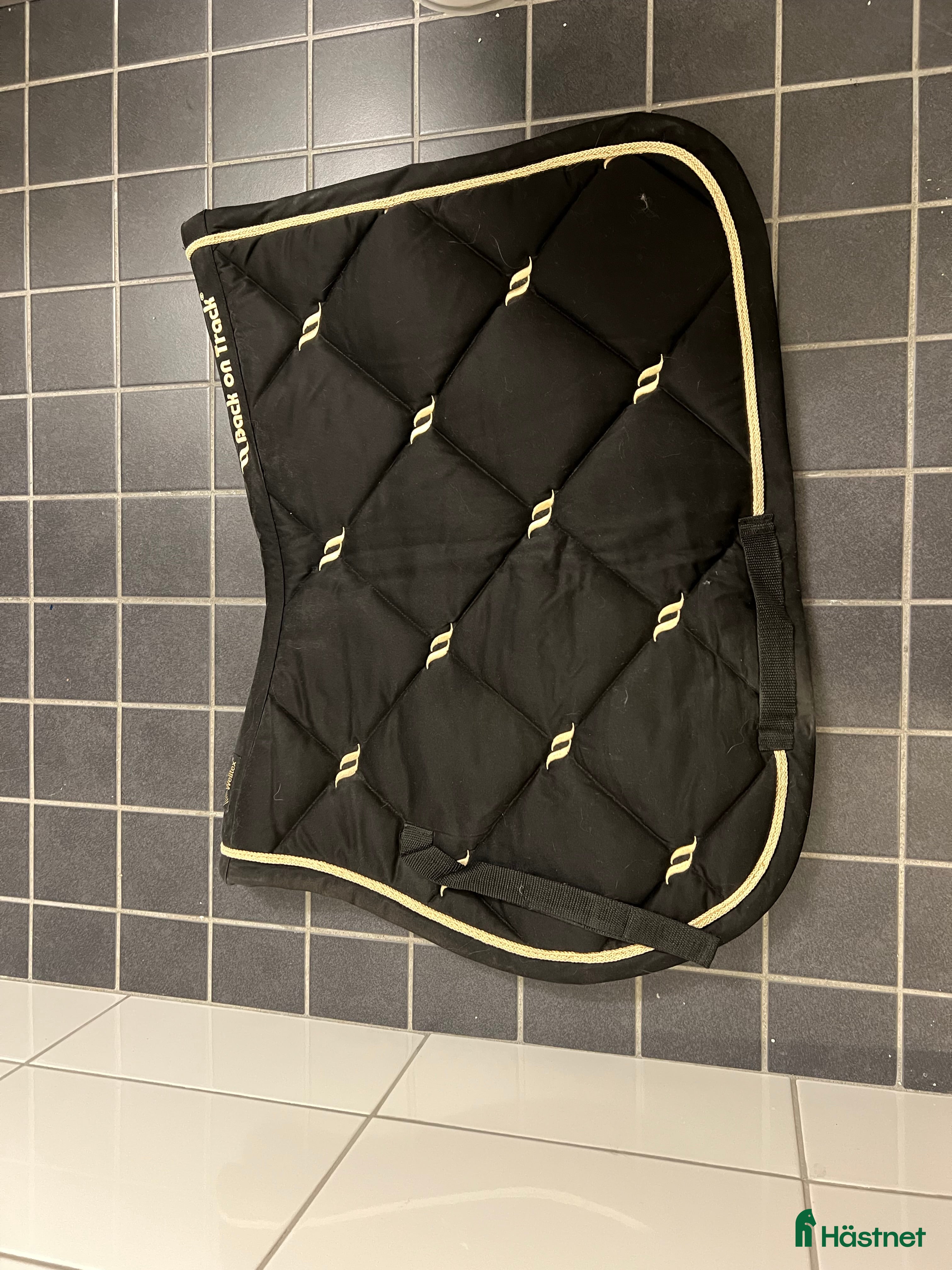 Schabrak & Vojlockar hästutrustning Back on Track Schabrak i Göteborg - Annons 17