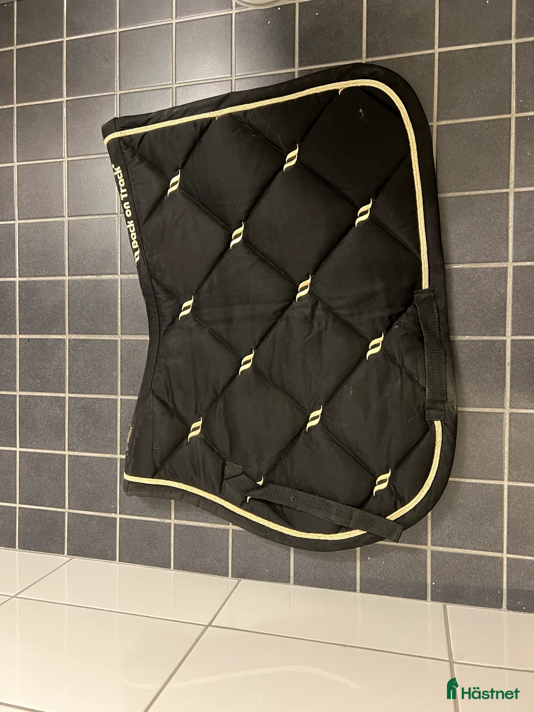 Schabrak & Vojlockar hästutrustning till salu: Back on Track Schabrak i Göteborg - Annons 1