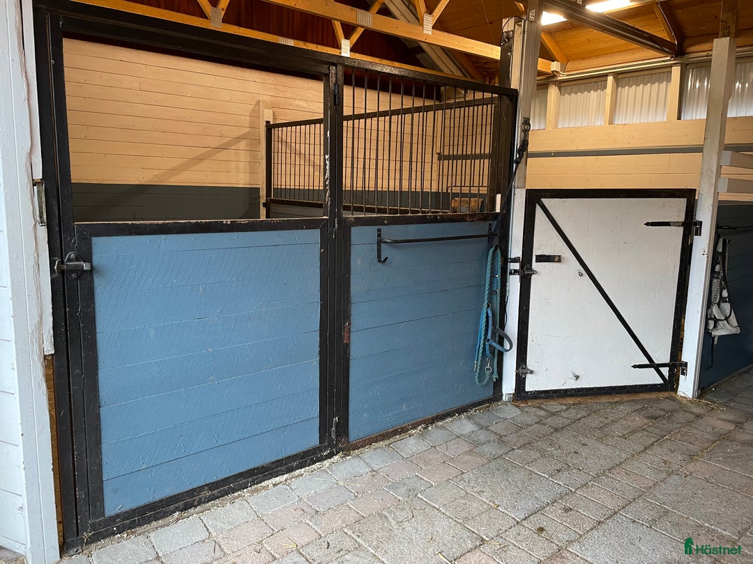  stallplats finnes: Stallplats i Djurmo/Gagnef i Djurmo - Annons 9