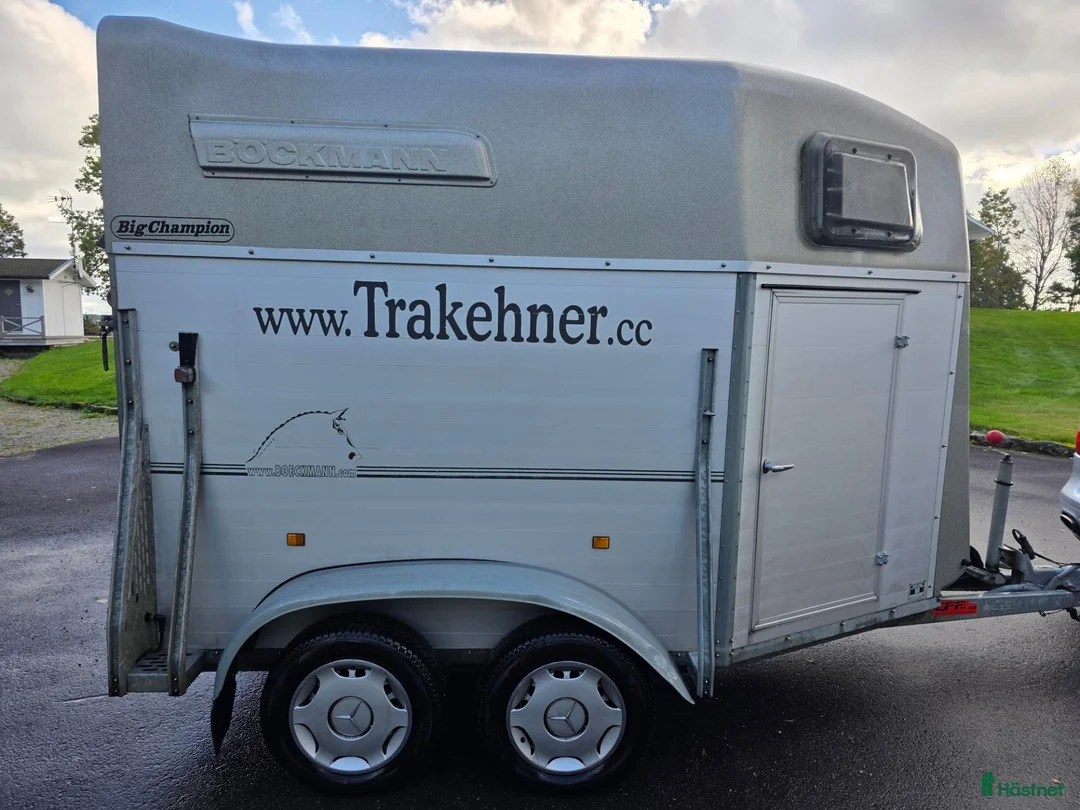 Hästtransporter  fordon & transport till salu: Hästtransporter Böckmann Big Champion i Värnamo - Annons 2