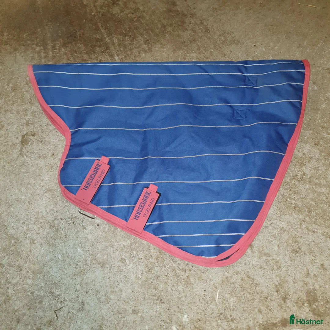 Täcken hästutrustning till salu: Amigo Bravo 12 plus 250g strl 6.3/140 - Annons 11