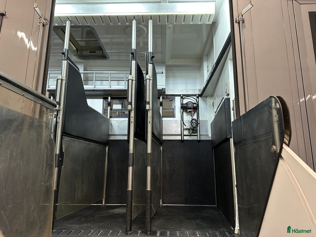 Hästlastbilar  fordon & transport till salu: Scania Stephex STX S500 Hästlastbil / Pop-X2 / i Eslöv - Annons 31