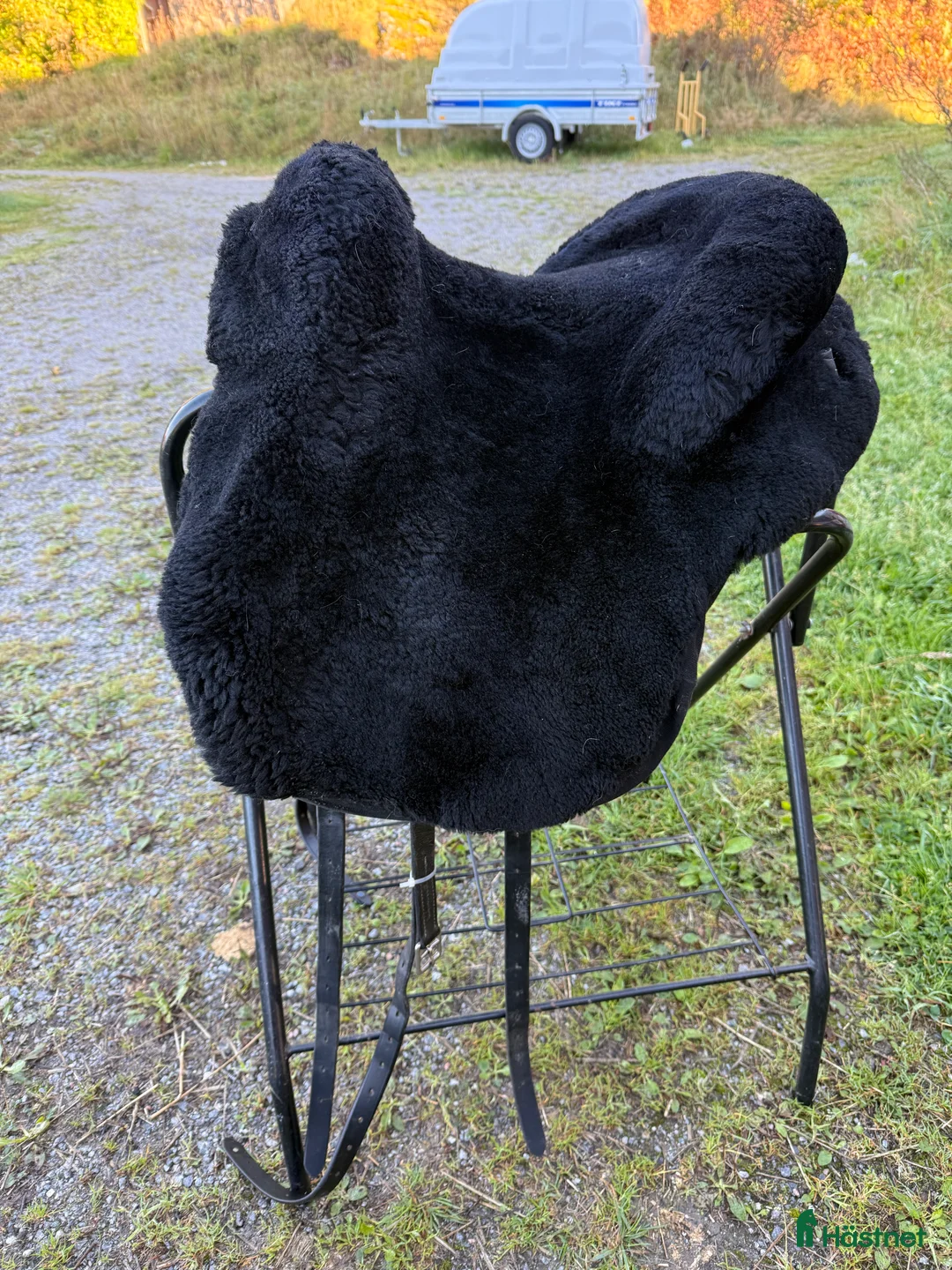 Sadlar hästutrustning till salu: Amazonas akademisk  Dressyr sadel  i Ärla - Annons 1