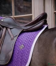 Schabrak & Vojlockar hästutrustning till salu: Royal purple Kentucky schabrak  i Täby - Annons 1