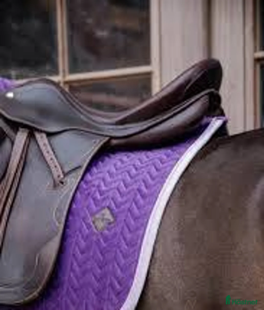 Schabrak & Vojlockar hästutrustning till salu: Royal purple Kentucky schabrak  i Täby - Annons 1