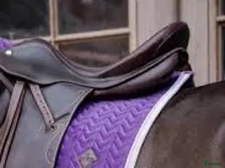 Schabrak & Vojlockar hästutrustning Royal purple Kentucky schabrak i Täby - Annons 4