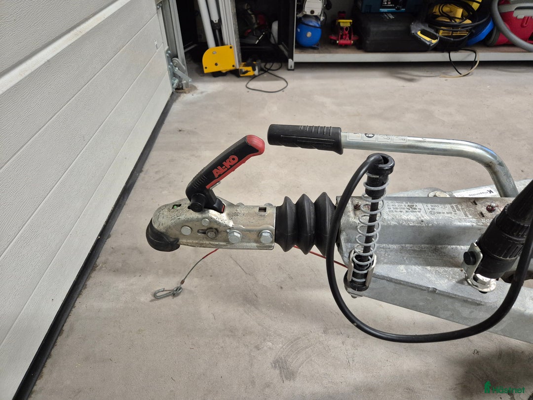 Hästtransporter  fordon & transport till salu: Forzab Futuro SEH 26 säljes - Annons 7