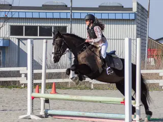 hästar Medryttare finnes - Annons 1