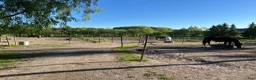 stallplats finnes: Litet stall med två ponny boxar och sadelkammare - Annons 4