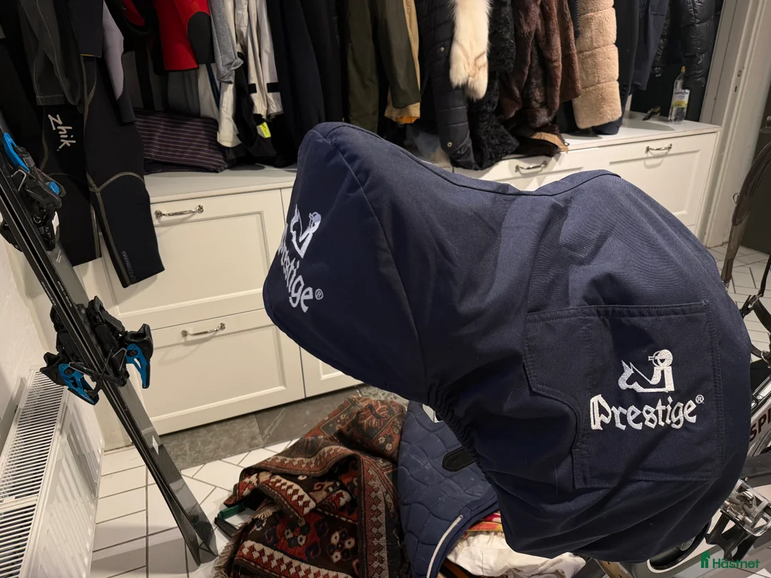 Sadlar hästutrustning till salu: Childéric dressyrsadel, stigbyglar, sadelgjord! i Bromma - Annons 10