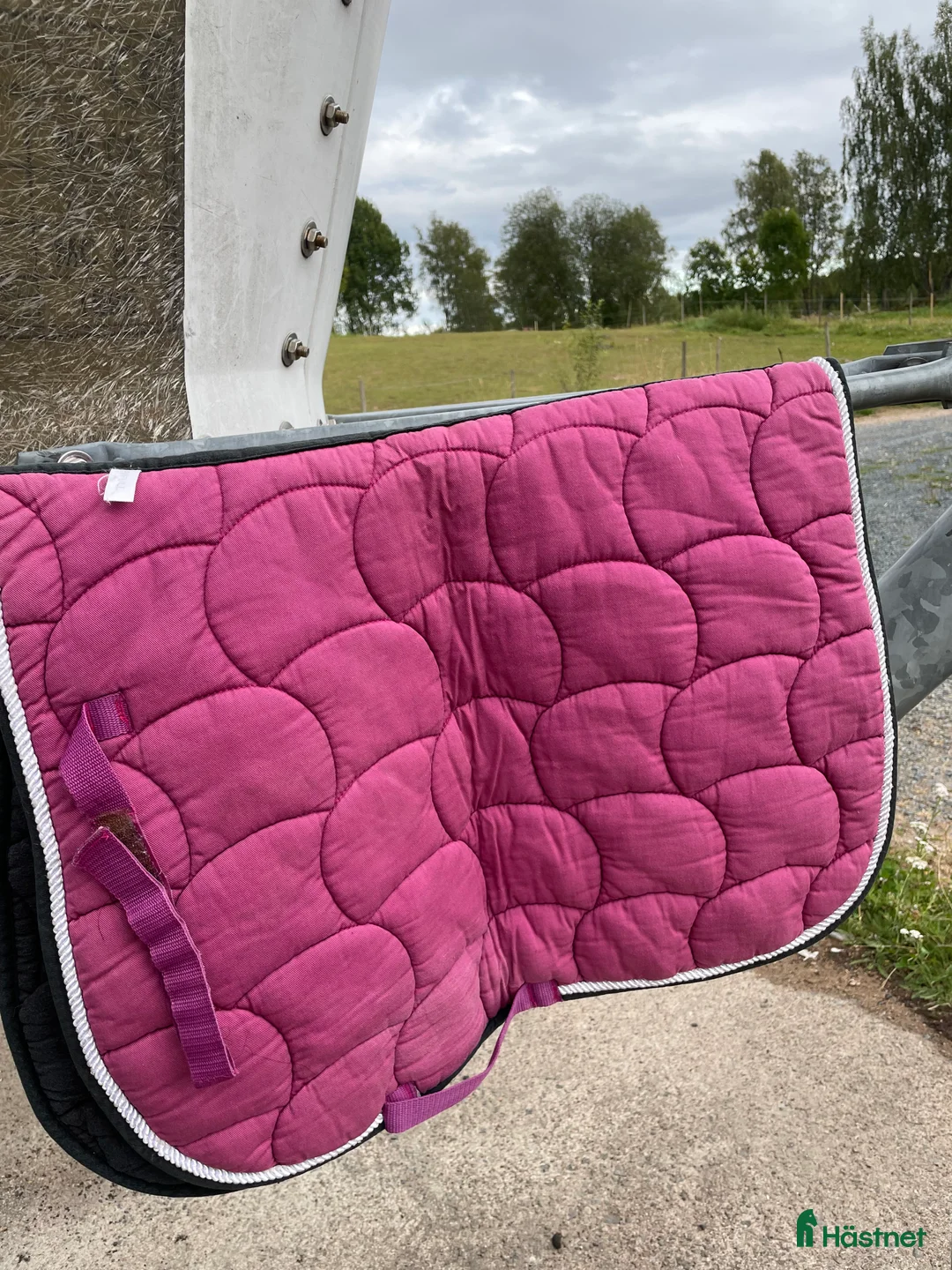 Schabrak & Vojlockar hästutrustning till salu: ❕hästutrustning❕ i Björköby - Annons 9