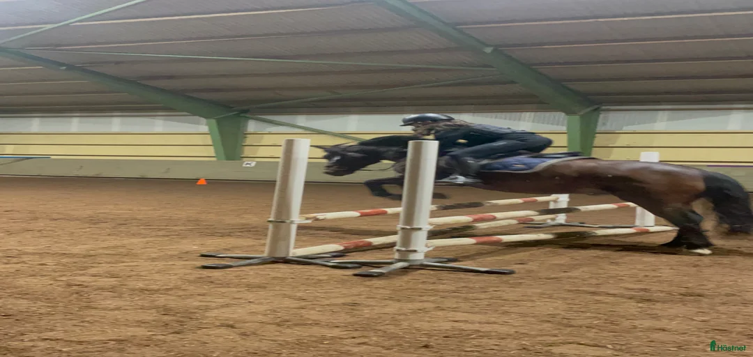 Galleribild {{count}}