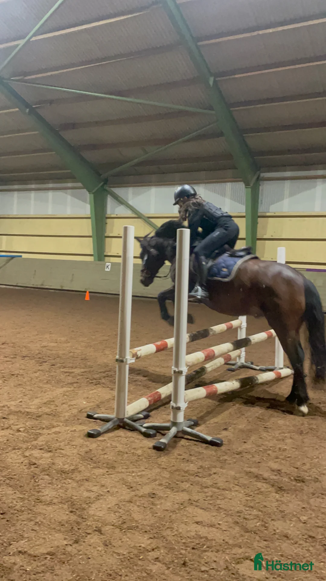 Galleribild {{count}}