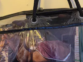 Täcken hästutrustning Ländtäcke - Annons 15