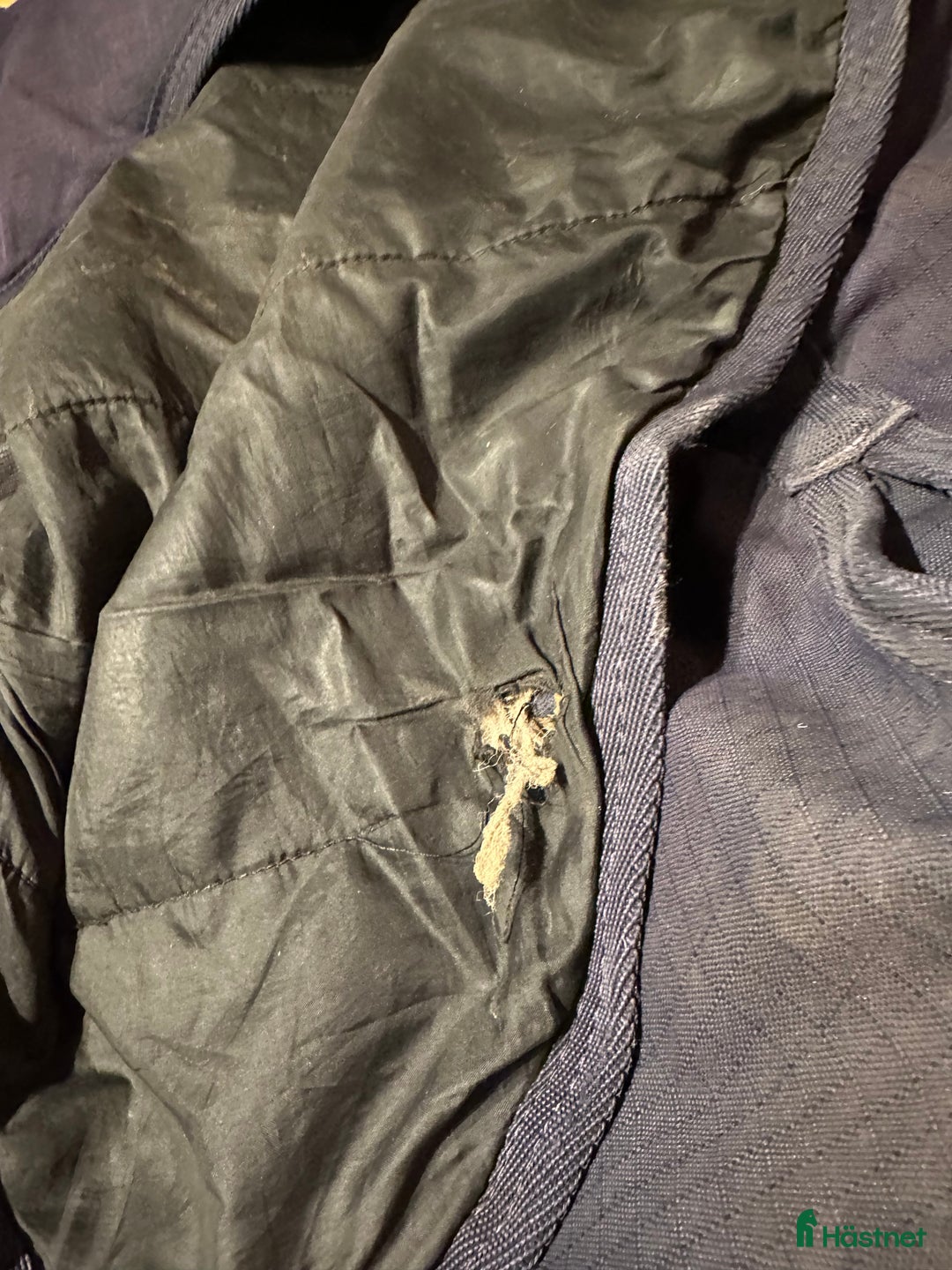 Täcken hästutrustning till salu: Utetäcke m.hals 200g i Perstorp - Annons 4