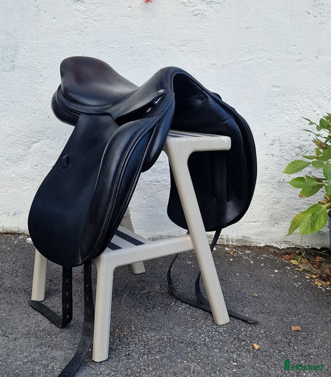 Sadlar hästutrustning till salu: Amerigo CC i Matfors - Annons 4