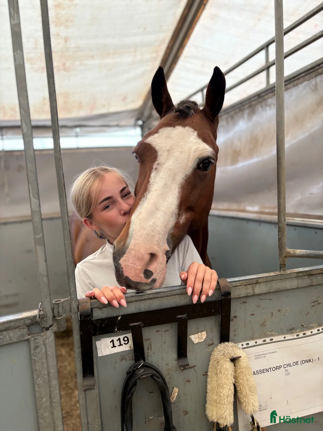 Dressyr hästar till salu: Schoolmaster fei pony - Annons 2