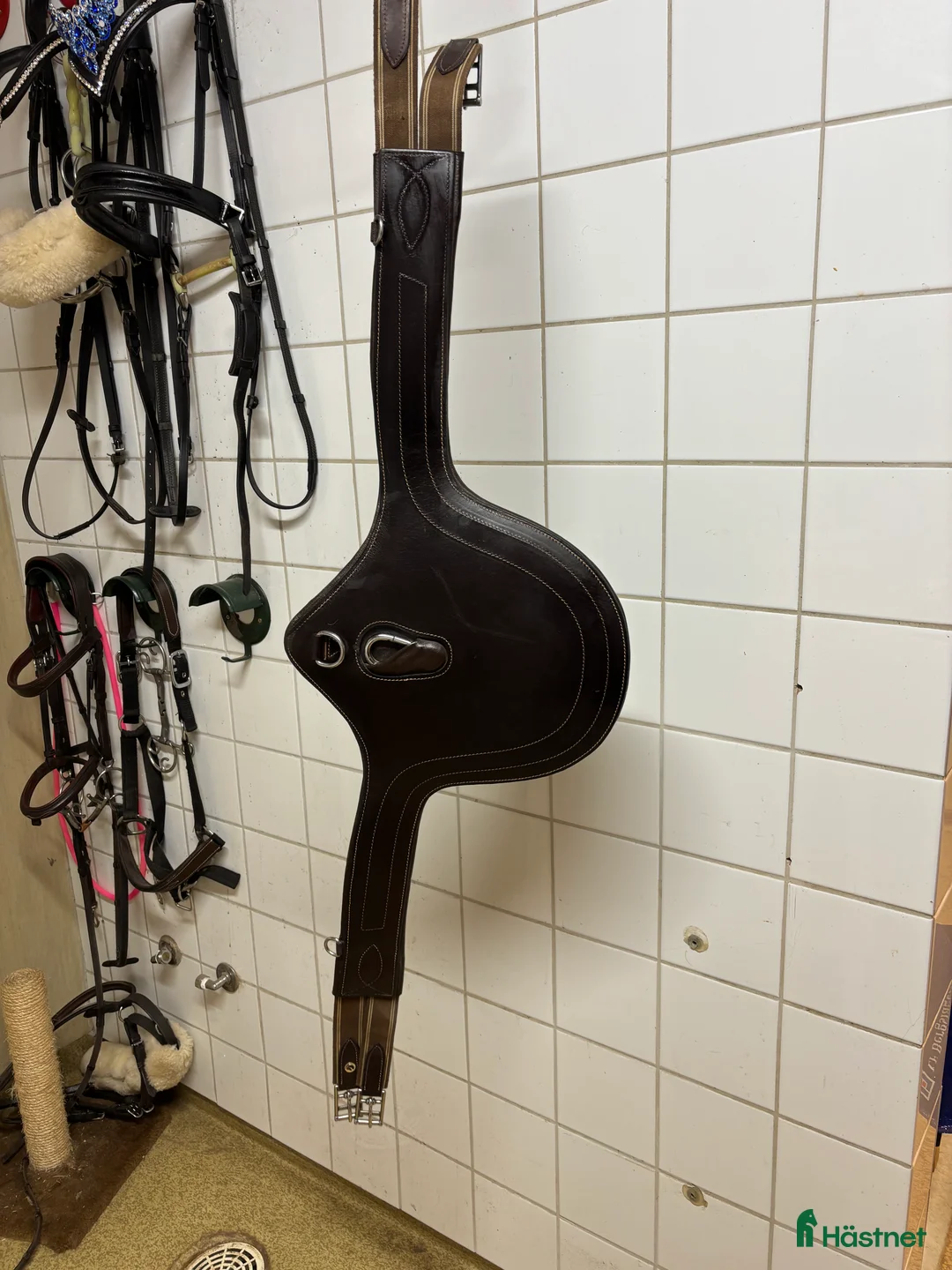 Sadeltillbehör hästutrustning till salu: Sadelgjord  i Örebro - Annons 2