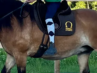 Övrig Hästutrustning hästutrustning Uppbyggd ridpadd Signum Omega i Knivsta - Annons 1