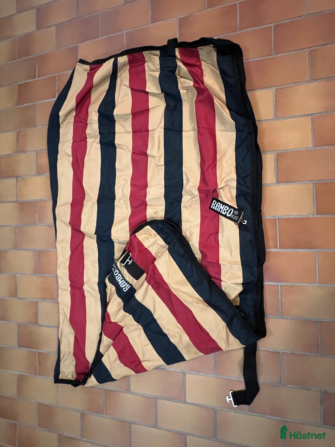 Täcken hästutrustning till salu: Rambo Horseware 145cm i Lund - Annons 2