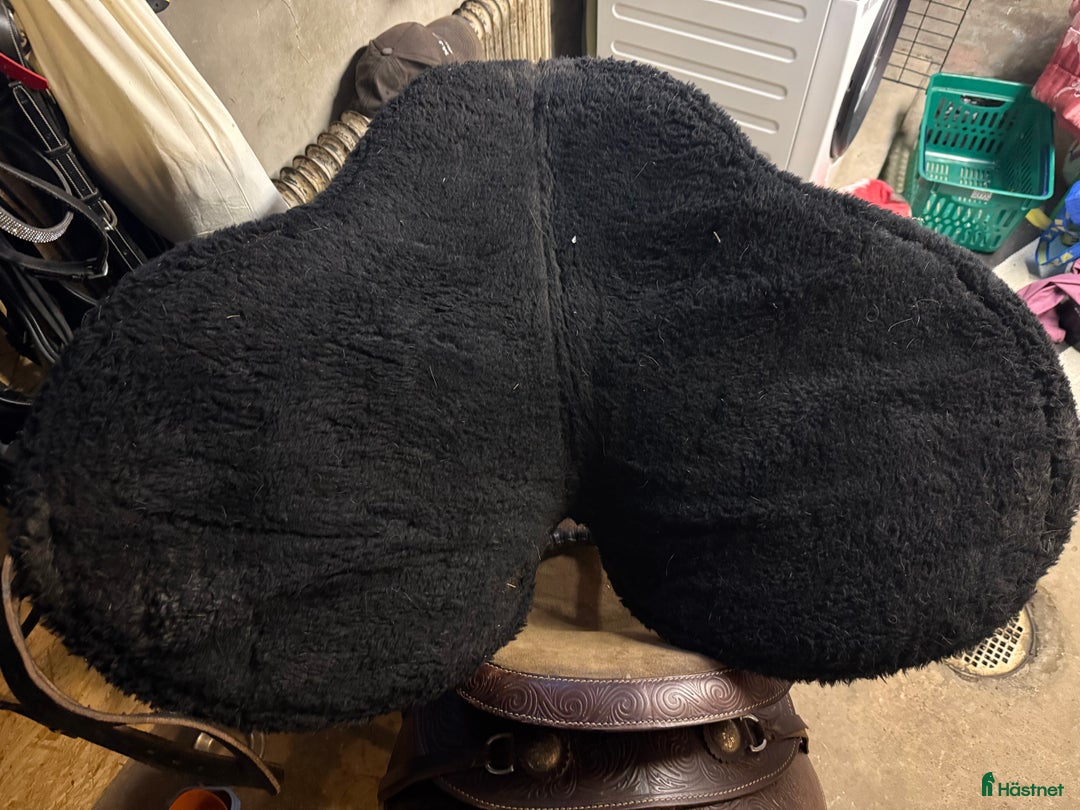 Övrig Hästutrustning hästutrustning till salu: Barbacka pad i Reftele - Annons 2