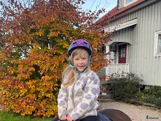 hästar Snäll barnponny på foder ev senare köp i Gråbo - Annons 13