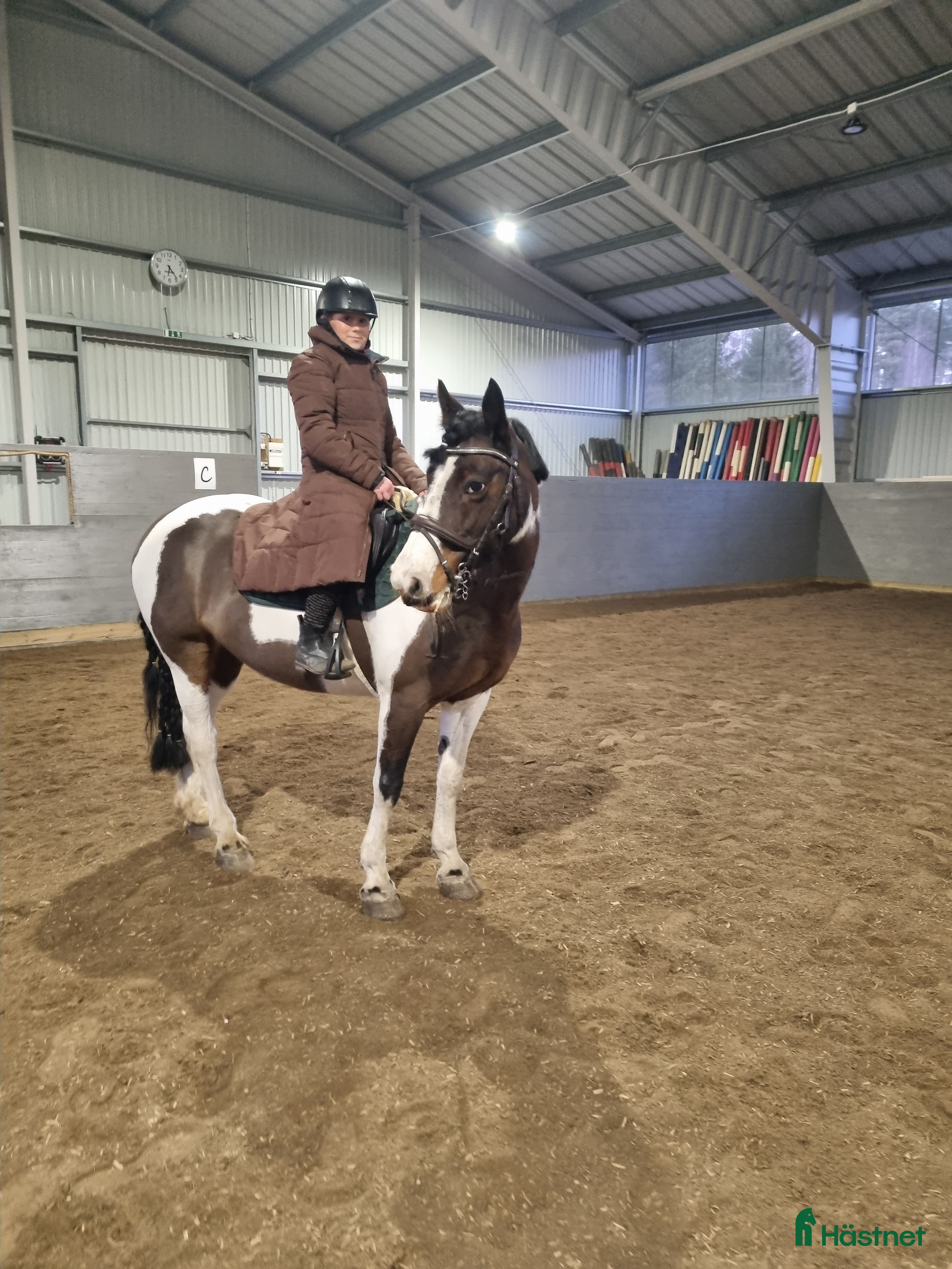  medryttarhäst finnes: Medryttare sökes  i Skövde - Annons 16