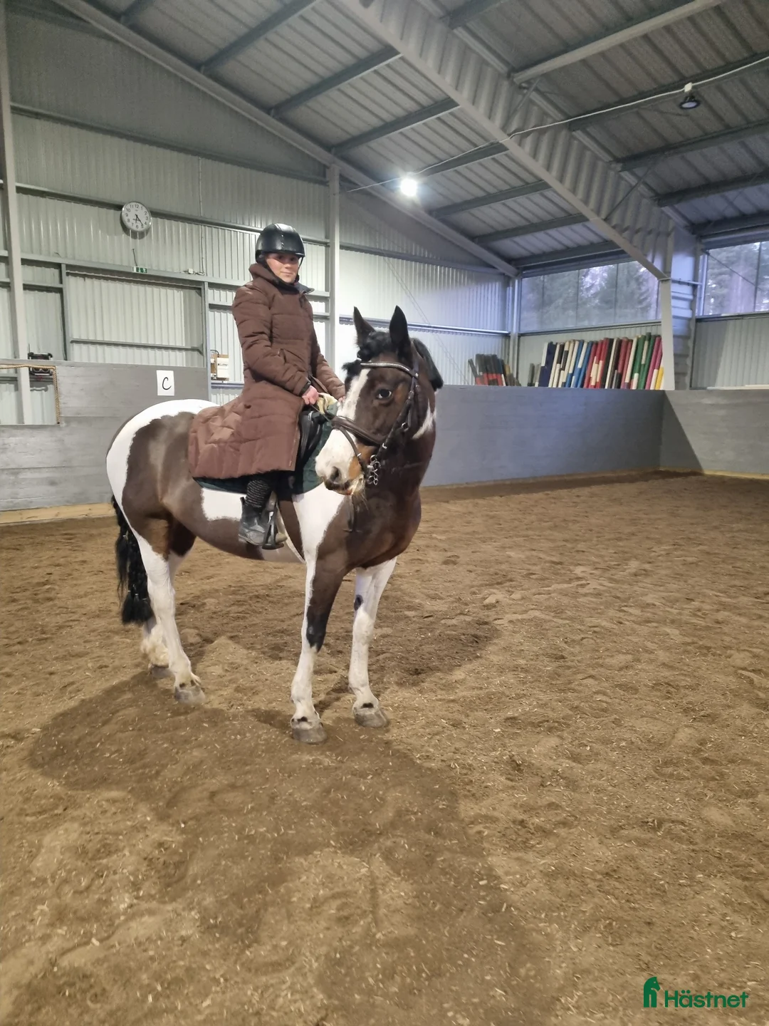  medryttarhäst finnes: Medryttare sökes  i Skövde - Annons 1