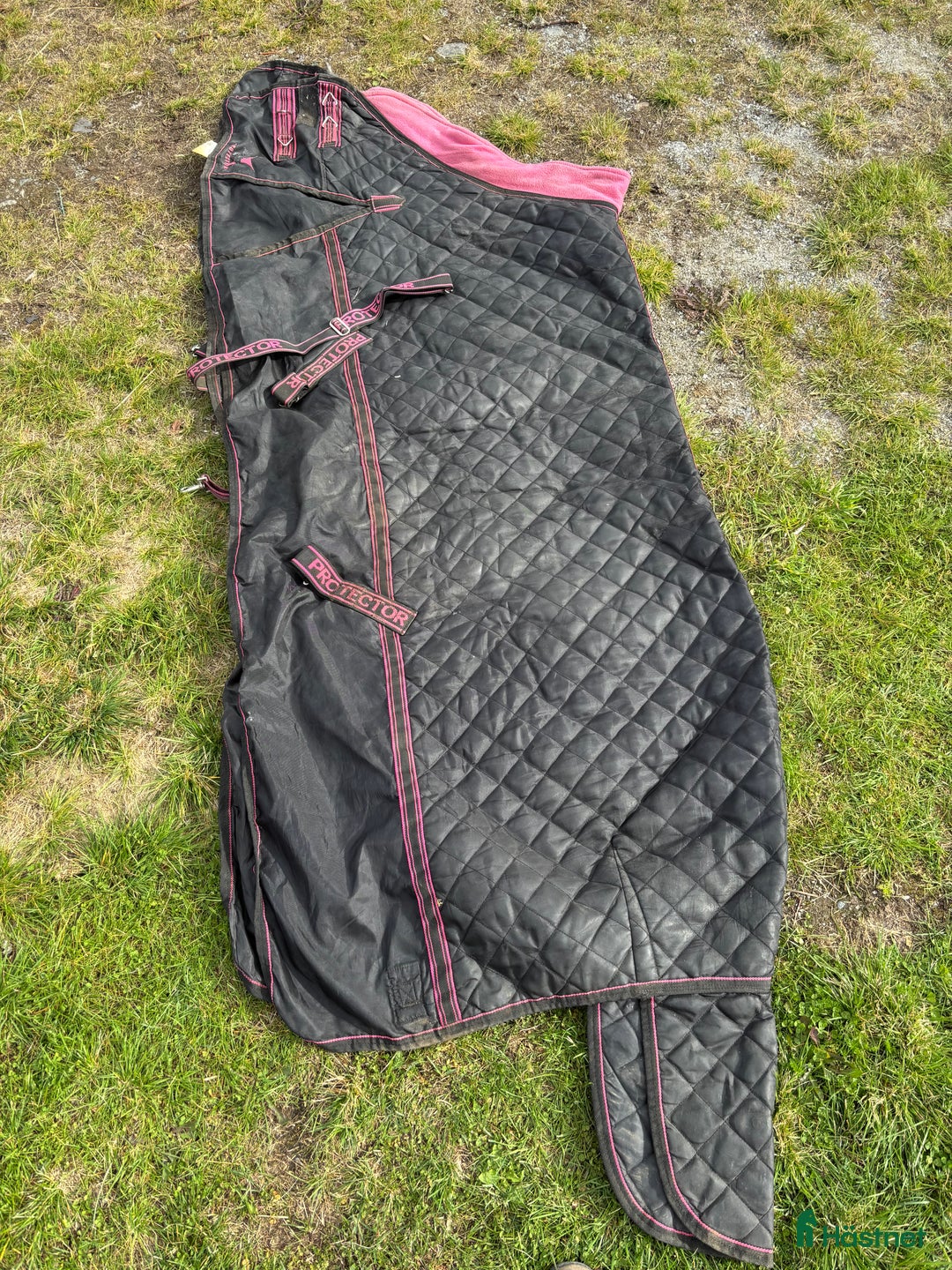 Täcken hästutrustning till salu: Flera täcken 155 cm, horseware bla i Storuman - Annons 7