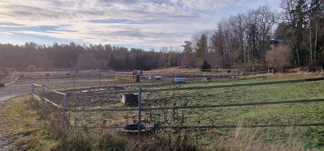  stallplats finnes: Ledig boxplats i Södertälje  - Annons 5