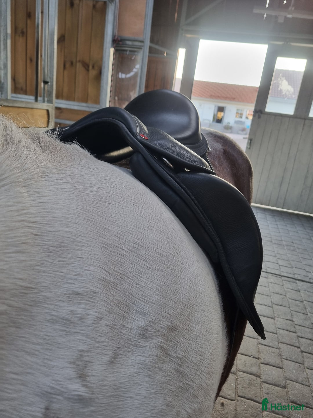 Sadlar hästutrustning till salu: Karlslund i Halmstad - Annons 2