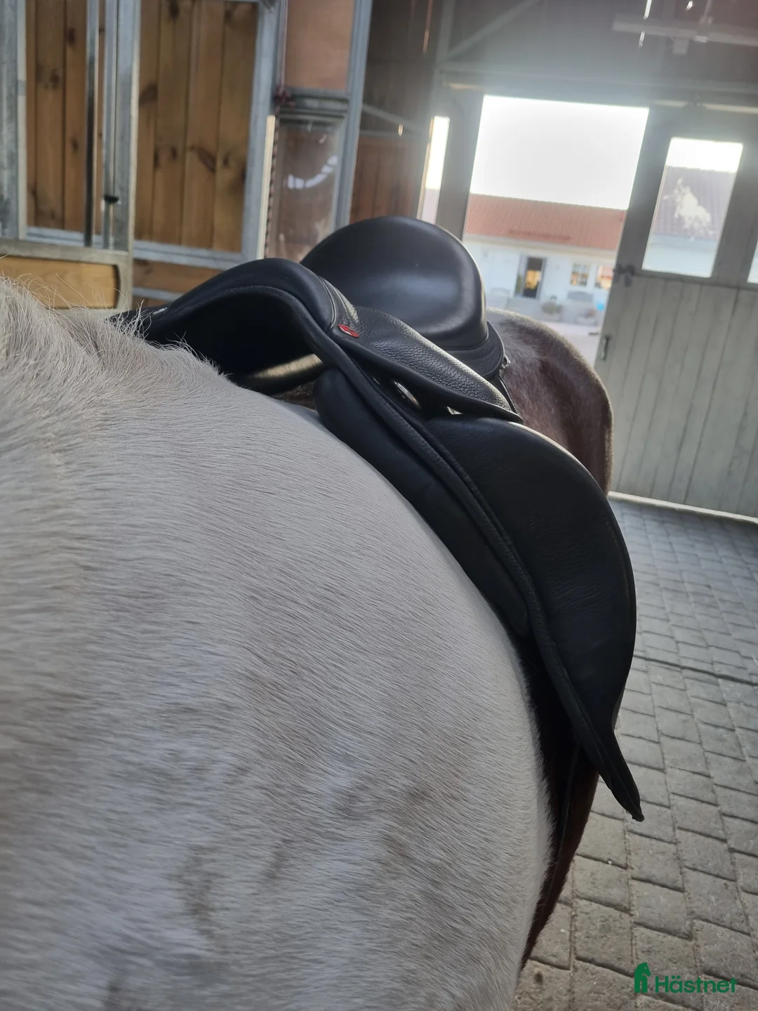 Sadlar hästutrustning till salu: Karlslund i Halmstad - Annons 2