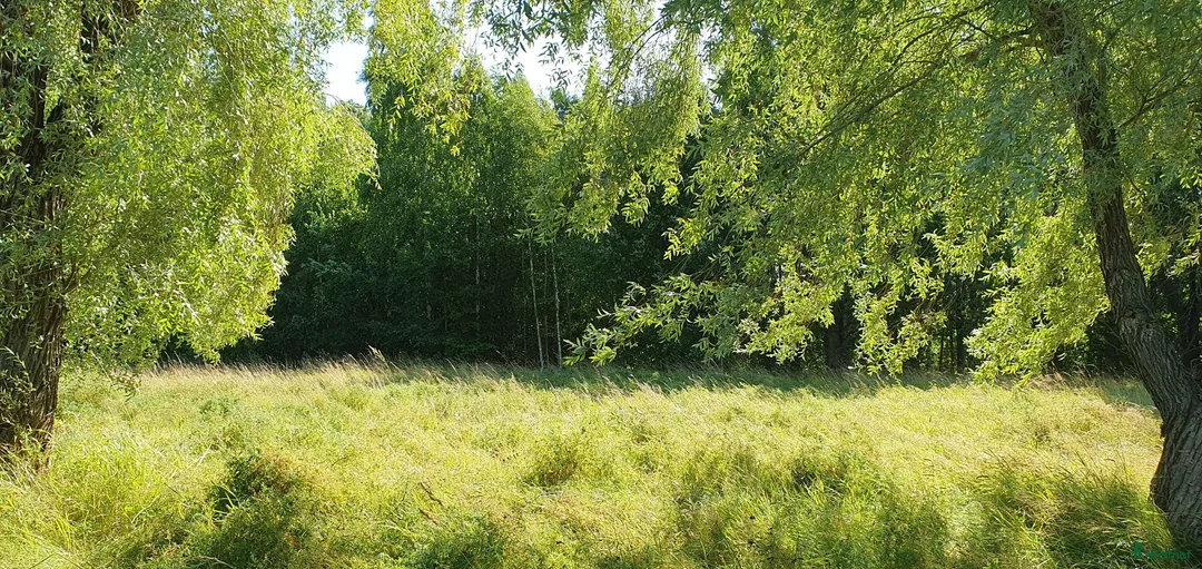 Allround hästar sökes: Ridtravare sökes - Annons 1