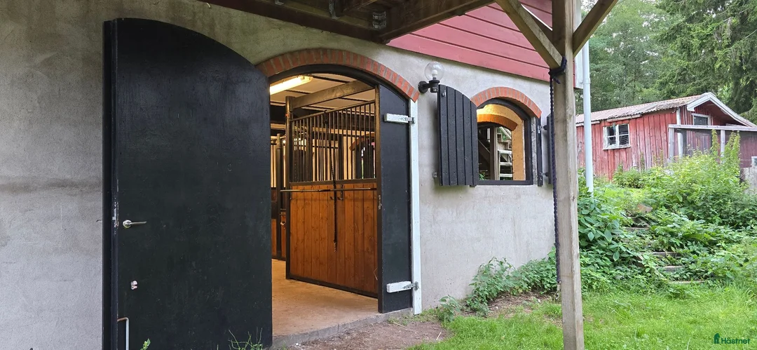  stallplats finnes: 2 lediga ponnyboxar  - Annons 2