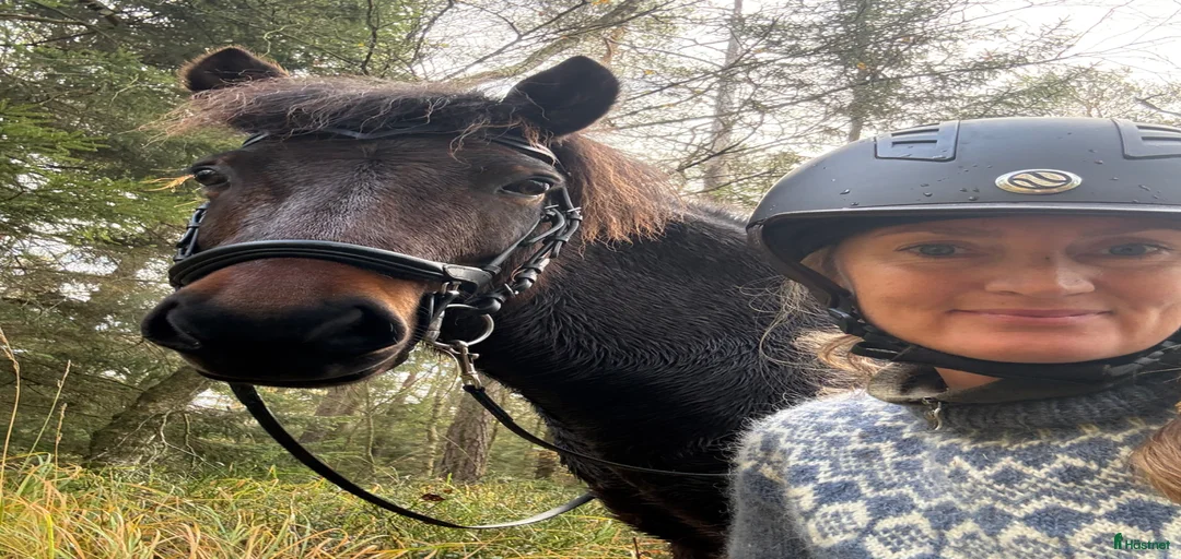 Galleribild {{count}}