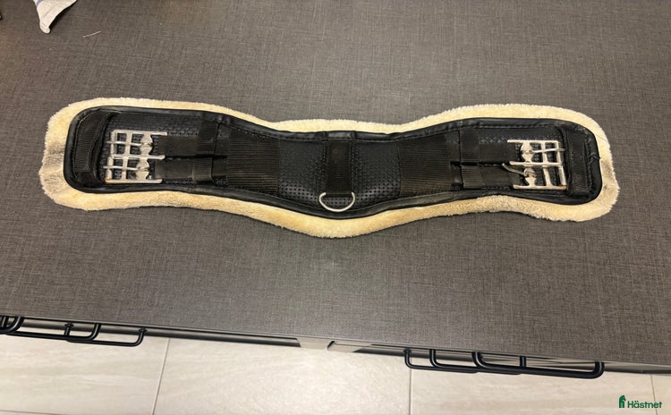 Sadeltillbehör hästutrustning till salu i Landskrona - Annons 4