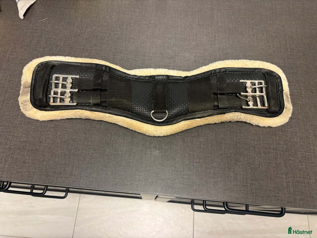 Sadeltillbehör hästutrustning till salu: Dressyrgjord med fluff i Landskrona - Annons 1