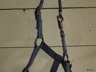 Övrig Hästutrustning hästutrustning till salu: Blågrå grimmor med texten "Tuff" i Nora - Annons 17