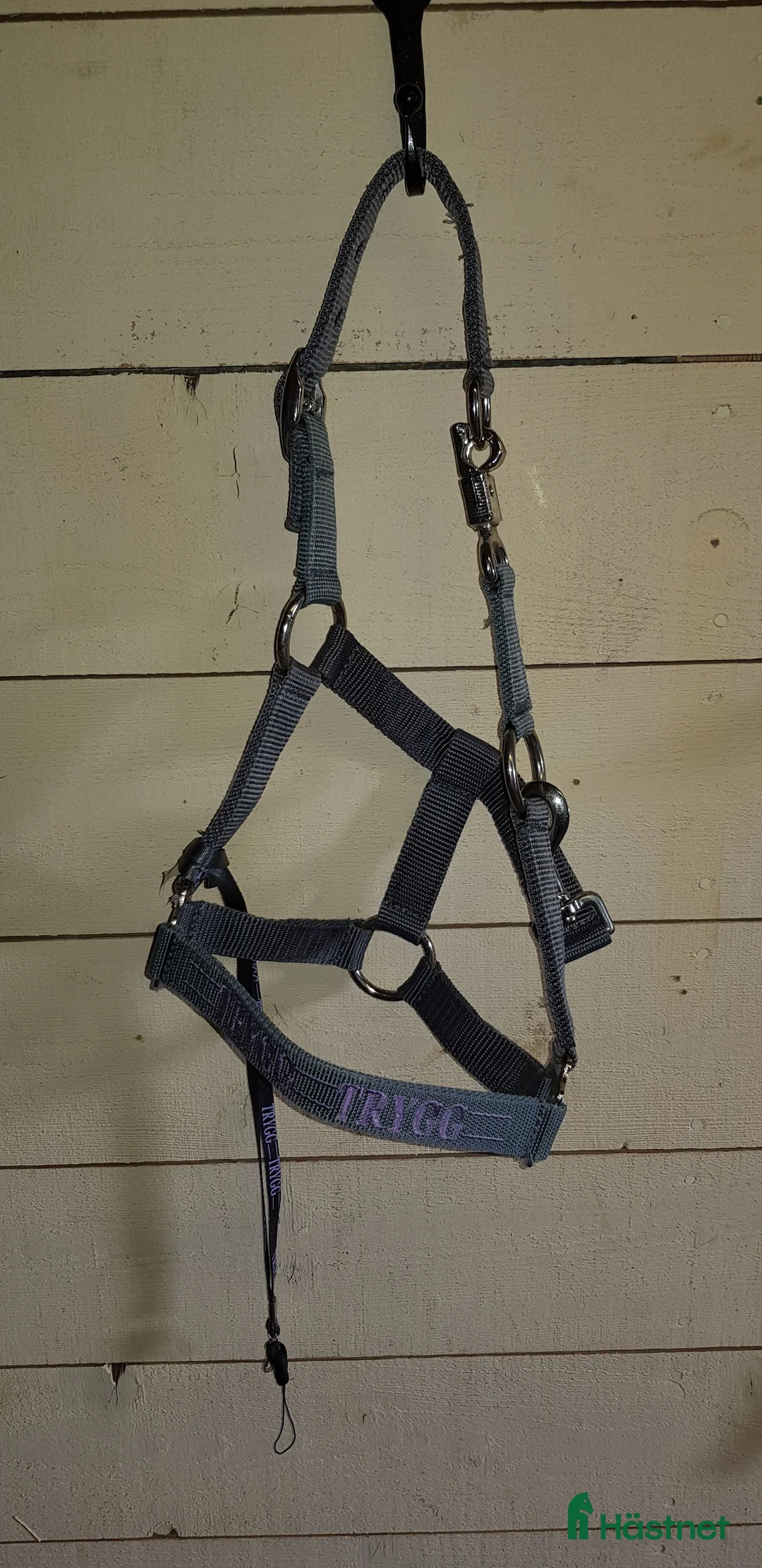 Övrig Hästutrustning hästutrustning till salu: Blågrå grimmor med texten "Tuff" i Nora - Annons 1