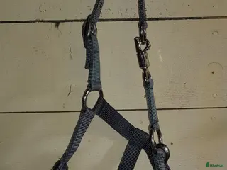 Övrig Hästutrustning hästutrustning Blågrå grimmor med texten "Tuff" i Nora - Annons 1