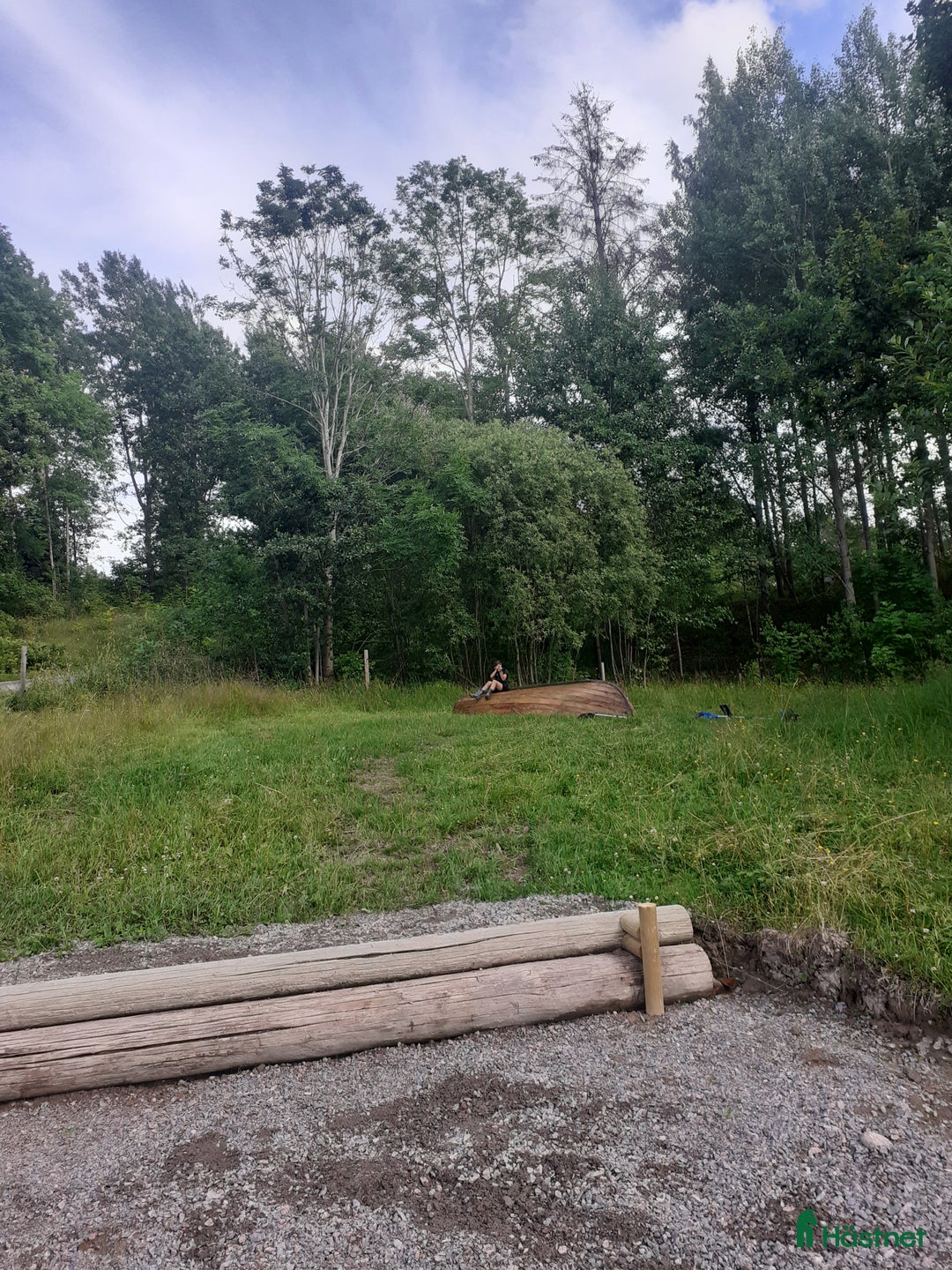  stallplats finnes: Lösdrift där hästar får vara hästar. i Tjällmo - Annons 12