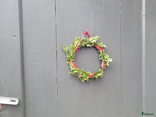 stallplats Stallplats med mkt utevistelse - Annons 6