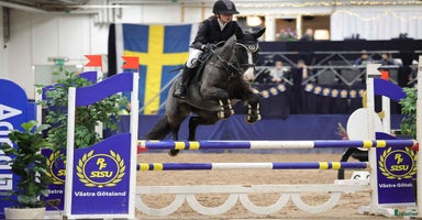  hästar i Ulricehamn - Annons 12