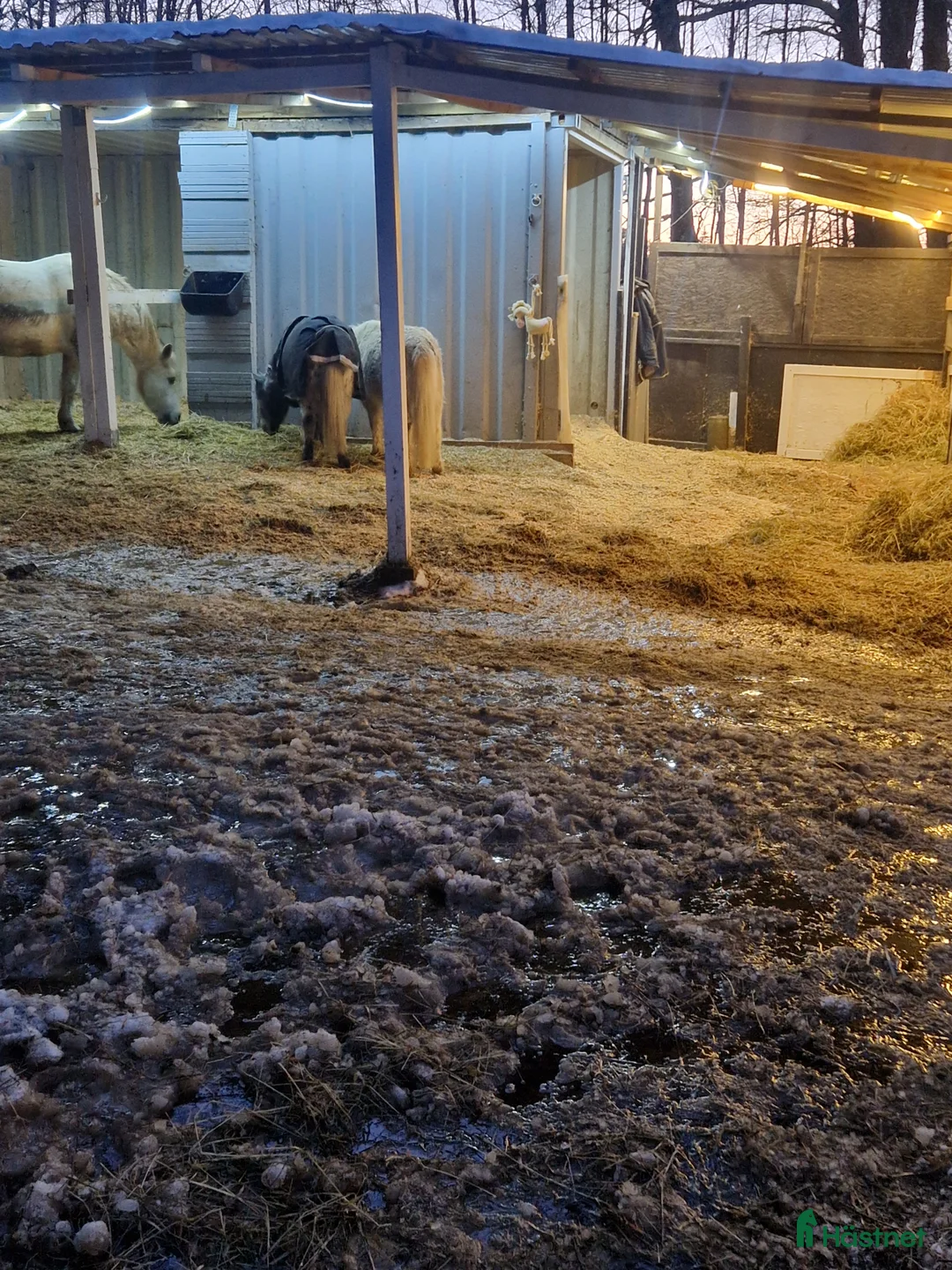  stallplats finnes: Mysig Lösdrift i lindome  - Annons 14